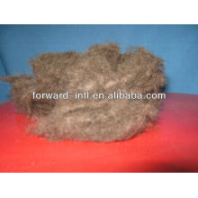 natural camel wool fiber